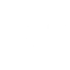 Startup-Sis